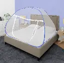 1000235534.webp