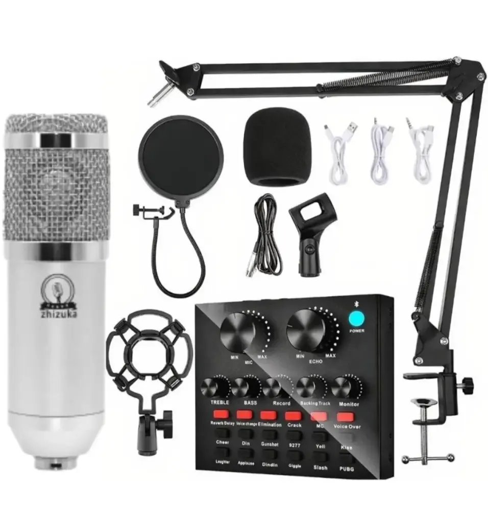 BM 800 microphone
