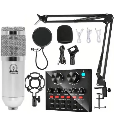 BM 800 microphone